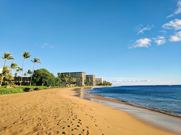 Hawaii 16