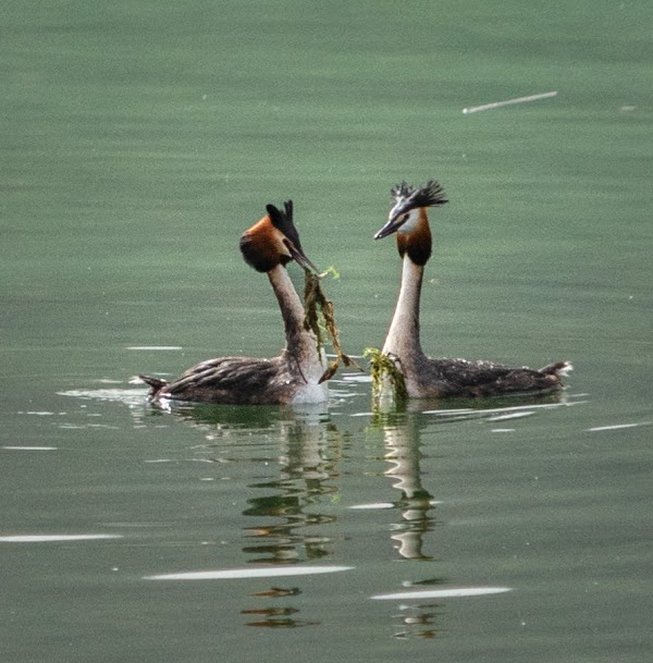 Lake Klopein 2