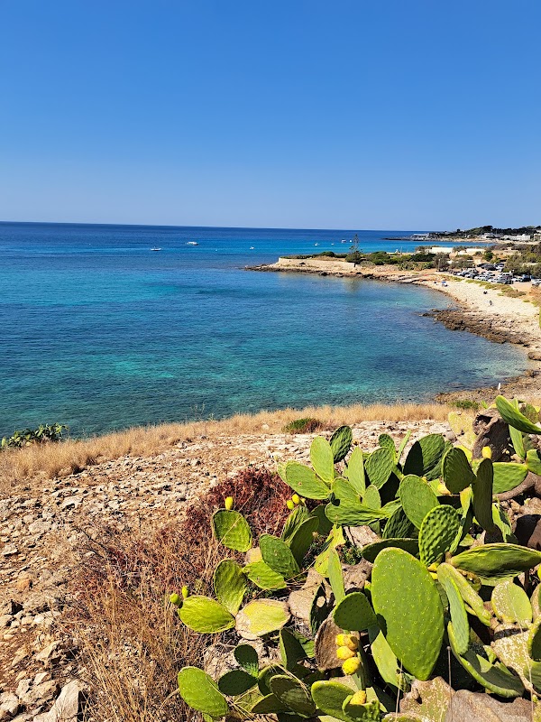 Felloniche Spiaggia 1