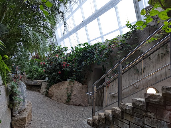 Butterfly Conservatory 5