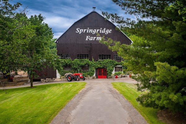 Springridge Farm 1