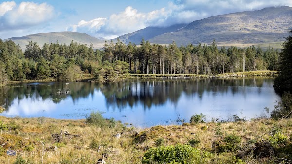 Llyn Llywelyn 5
