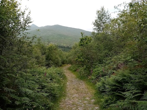 Llyn Llywelyn 4