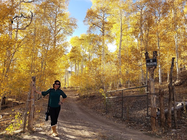 Kolob Terrace Road 5