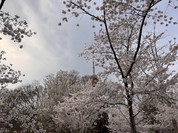 玉渊潭公园 2