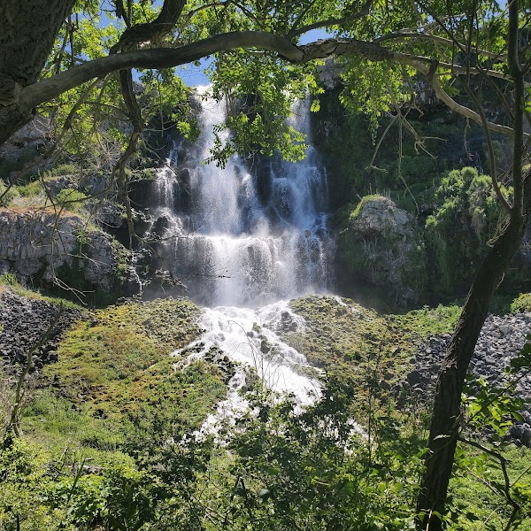 Ritter Island - Thousand Springs State Park 2