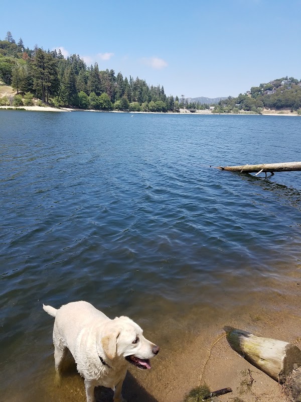 Lake Gregory Regional Park 2