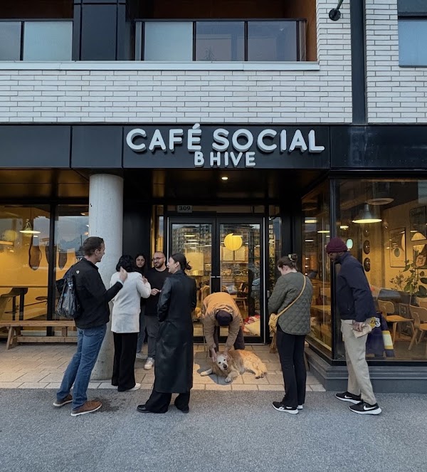 Café Social B Hive 1