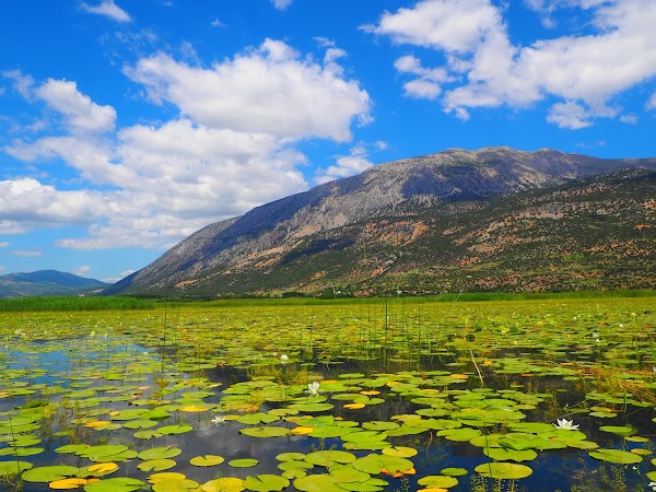 Lake Işıklı