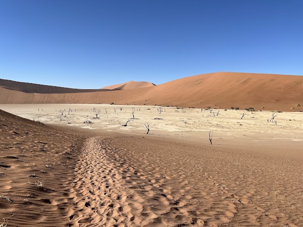 Africa 34