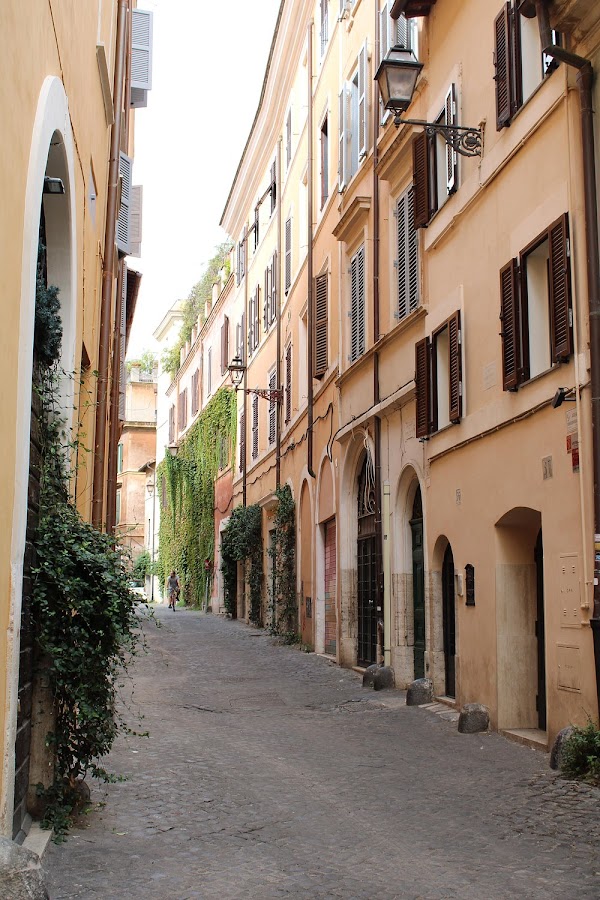 Rome 100