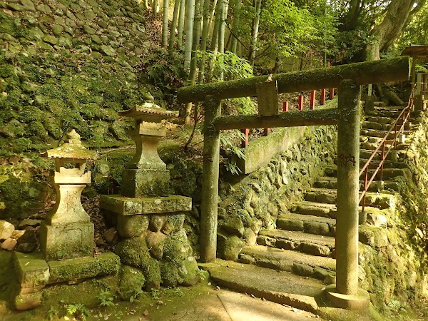 Fudo Fall 3