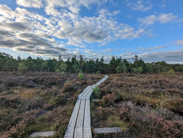 Abbeyleix Bog Project