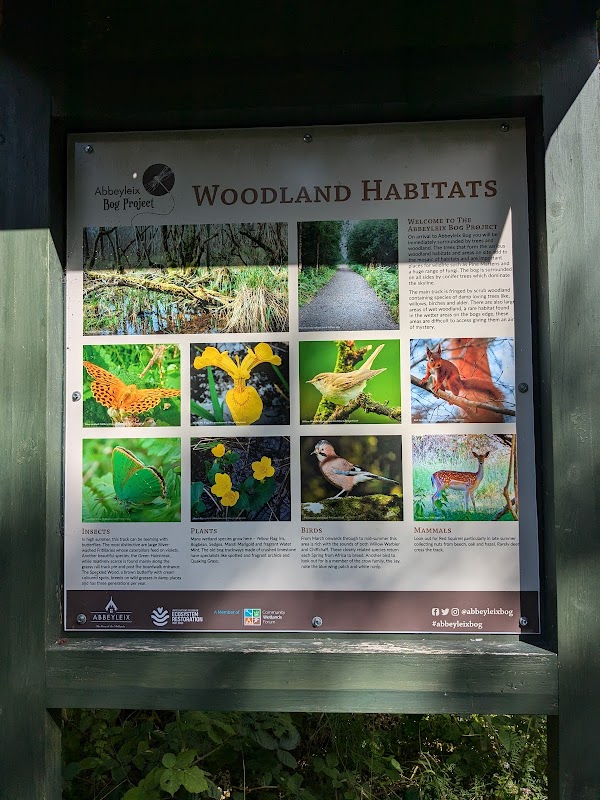 Abbeyleix Bog Project 3