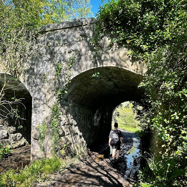 Abbeyleix Bog Project 2