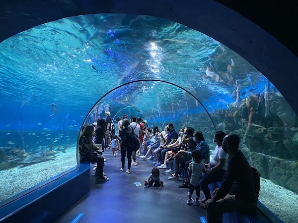 Manila Ocean Park 1