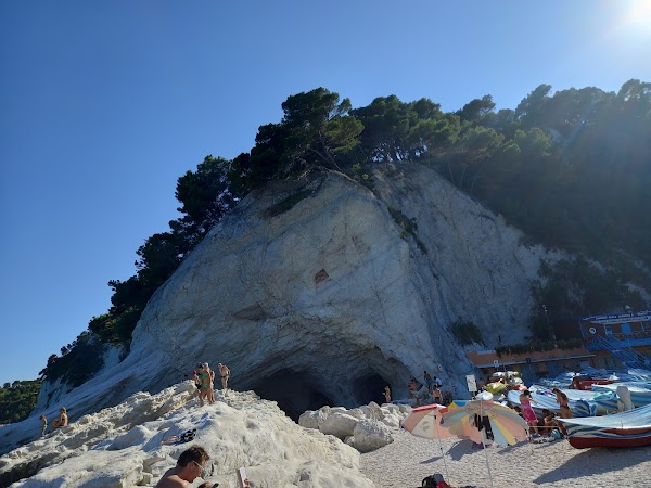 Le Marche  51