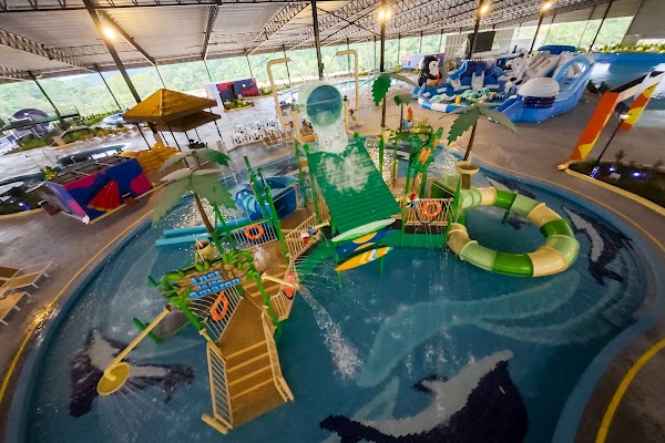 Monkeys Splash Zone 1