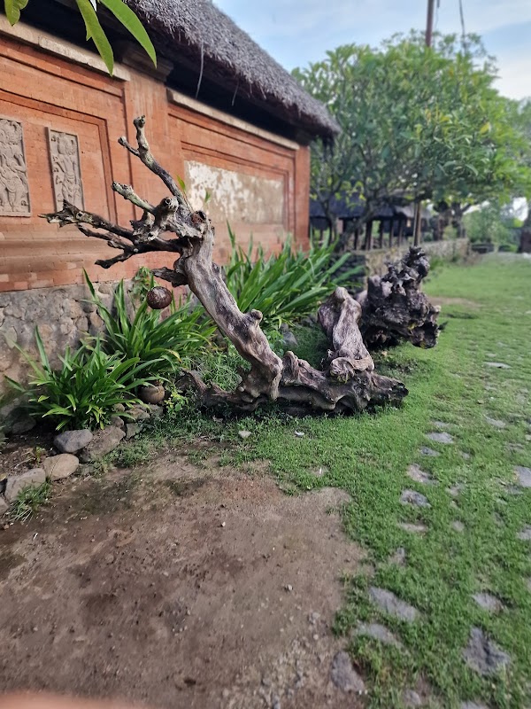 Tenganan 2