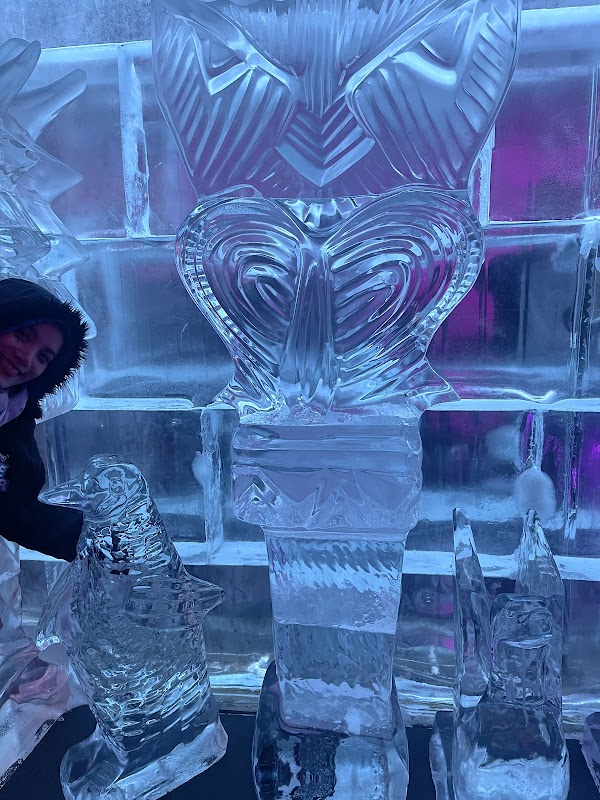 Minus 5° ICE BAR 4