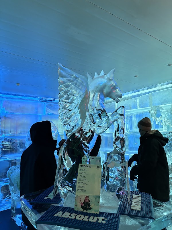 Minus 5° ICE BAR 2