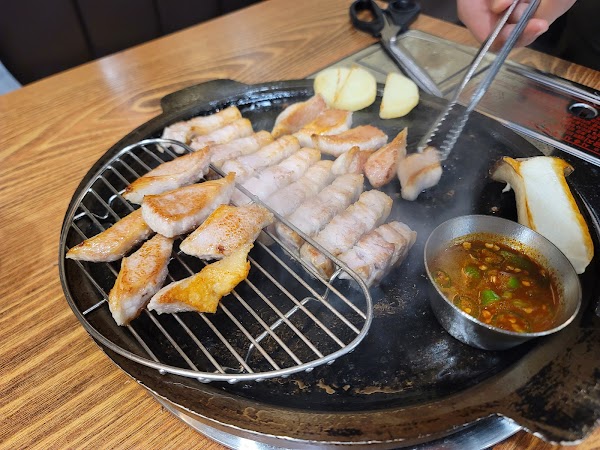 도시고기 5