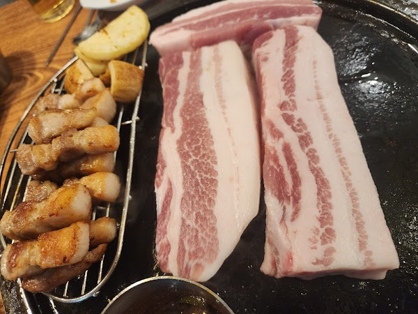도시고기 4