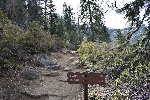 Four Mile Trail 5
