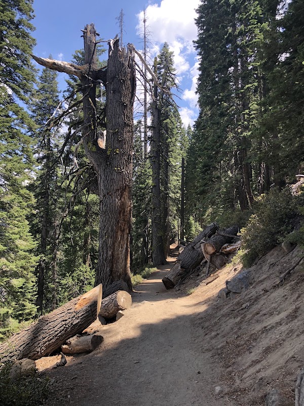 Four Mile Trail 4