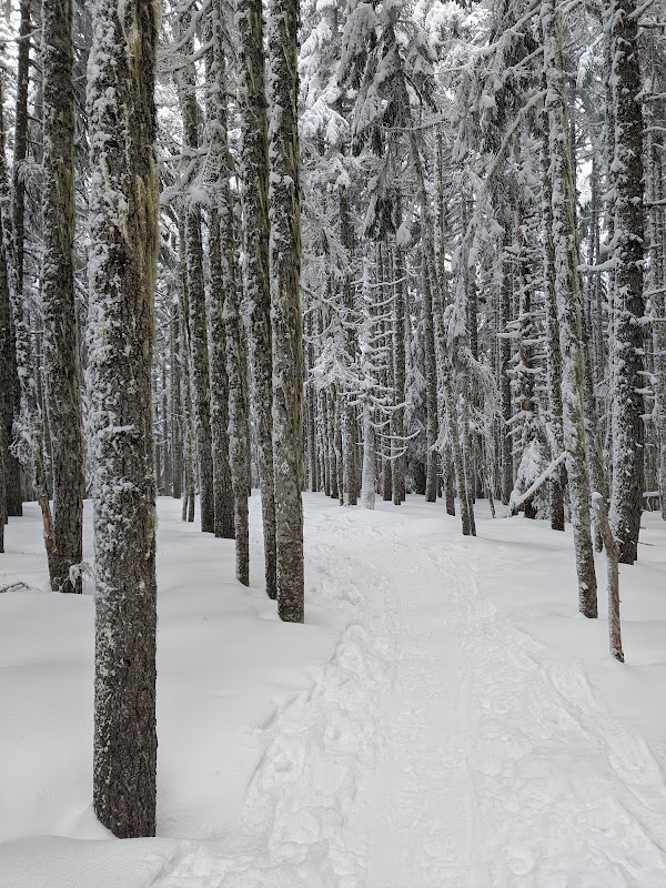 Barlow Pass 5