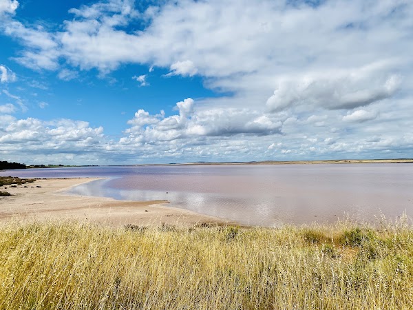 Pink Lake Viewing Area 5