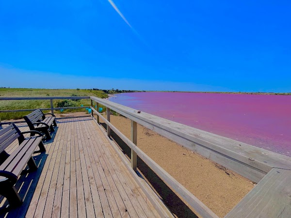 Pink Lake Viewing Area 2