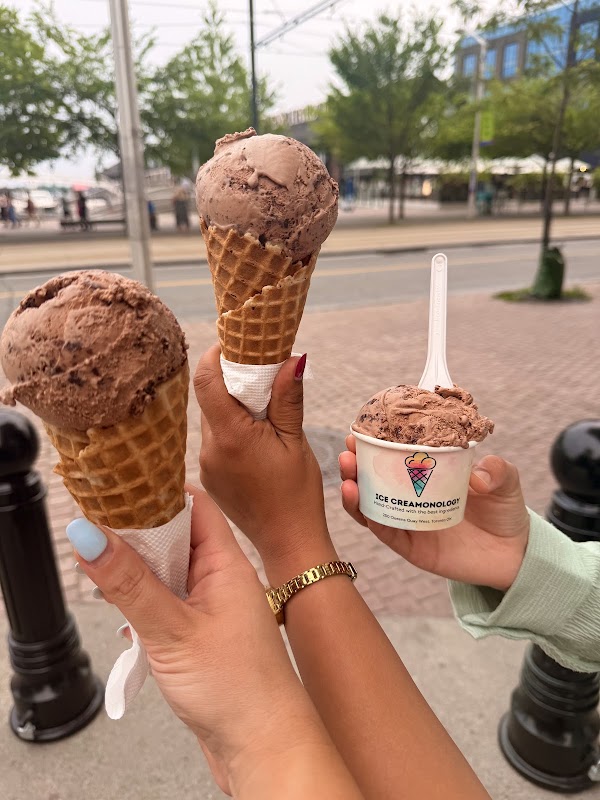 Ice Creamonology 4