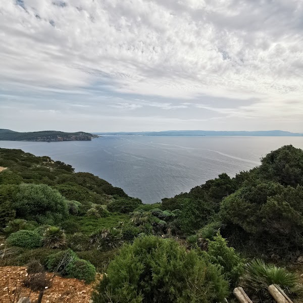 Alghero - Grotte di Nettuno 2
