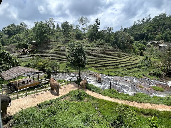 ChangChill Elephant Sanctuary 4