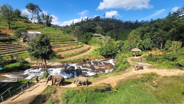ChangChill Elephant Sanctuary 2