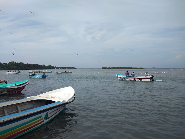 Kokkilai Lagoon