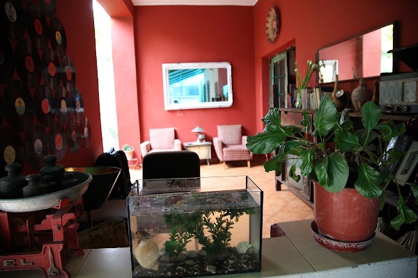 Trip'n'Hostel 4