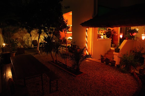 Trip'n'Hostel 2