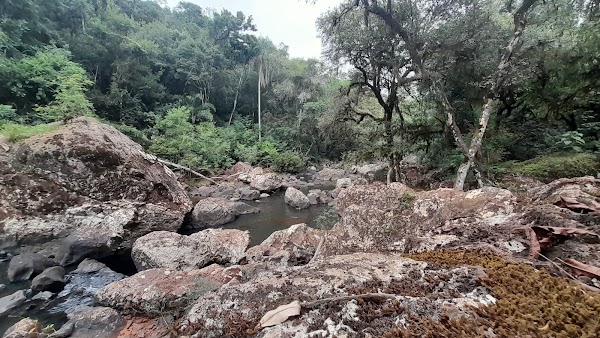 Salto Golondrina 2