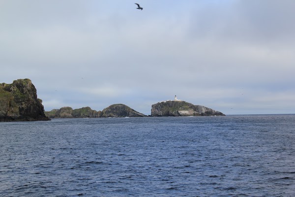 Muckle Flugga 3