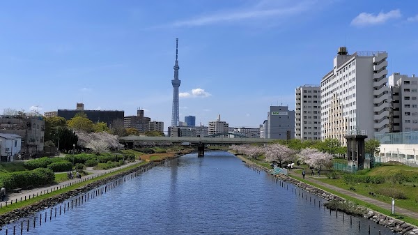 Tokyo Spring: Festival guide🌸🌷 7