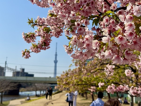 Kyunaka River 5