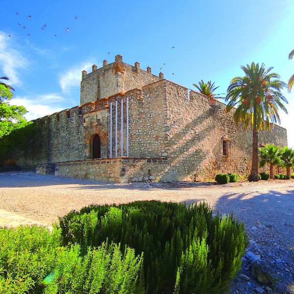 Castillo de Gigonza 5
