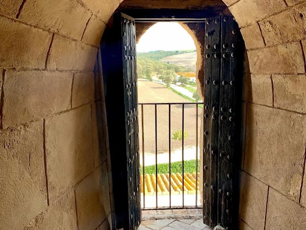 Castillo de Gigonza 2