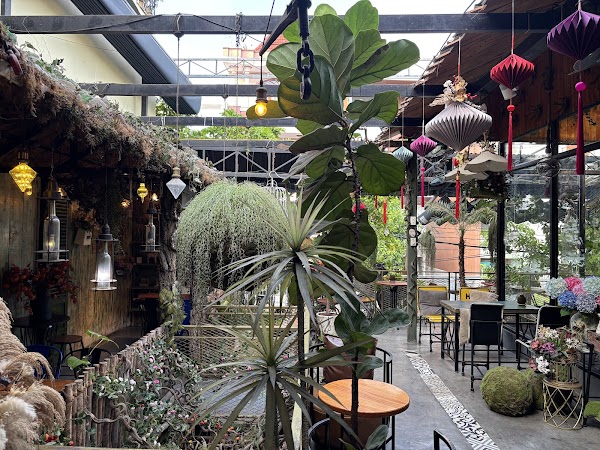 Jungle Coffee Nha Trang 1