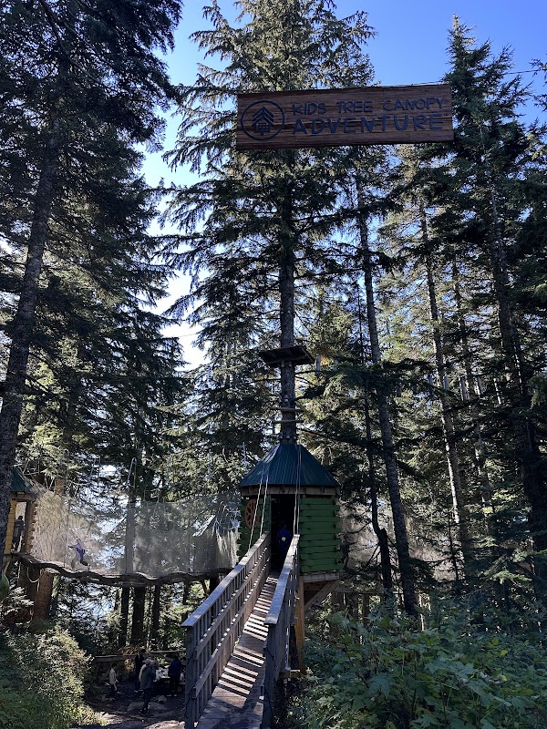 Kids Tree Canopy Adventure 1