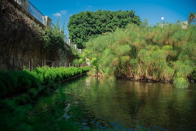 Arethusa Spring