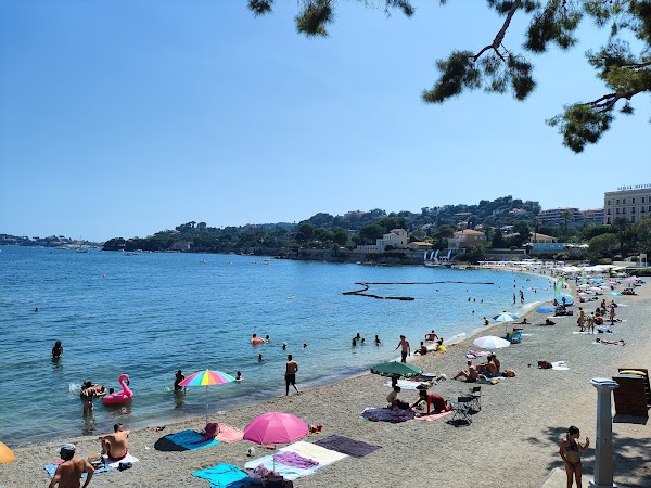 Plage des Fourmis