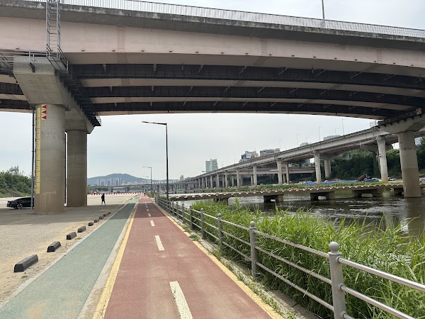 Tancheon Stream 1